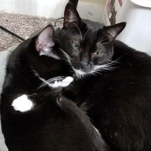 Meet your Posher, Leila!